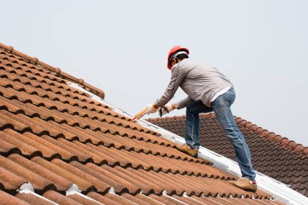 Best Cold Roofs  in Atlanta, TX